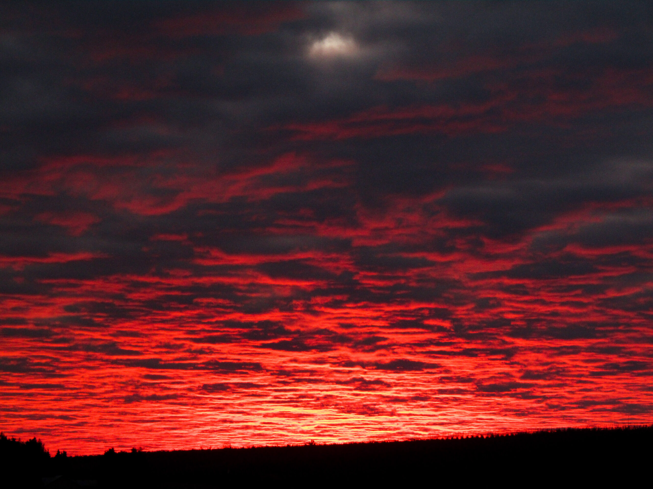 Sun Rose on Early Sunday - Set